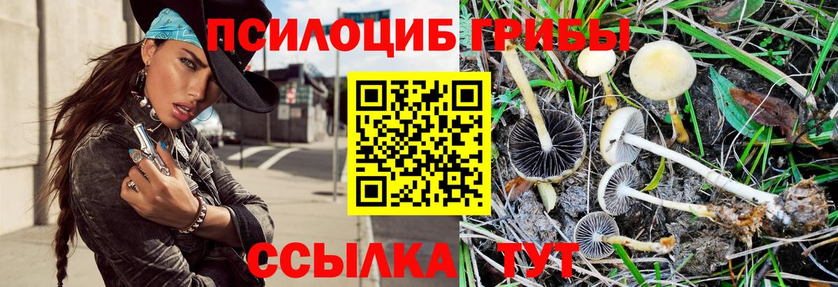 Псилоцибиновые грибы прущие грибы Кызыл