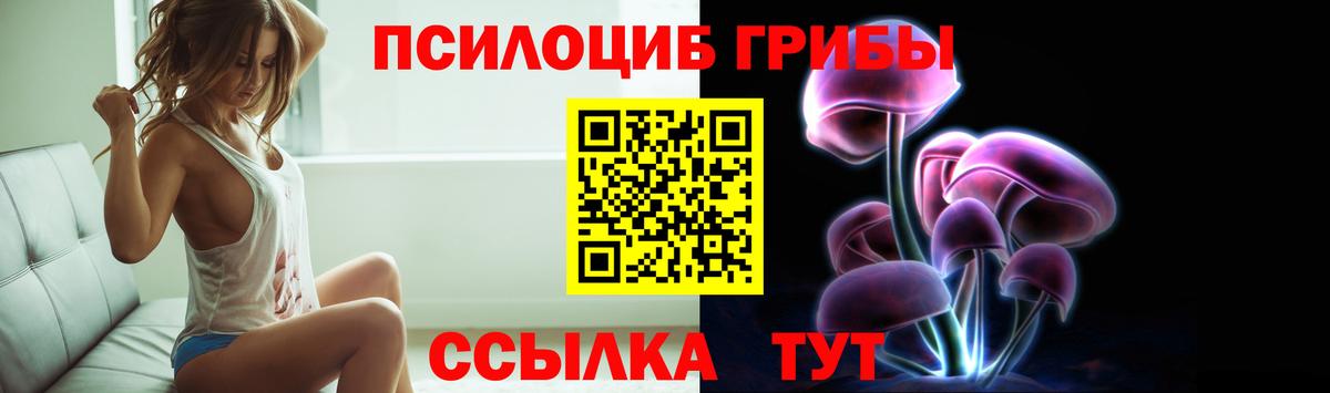 Галлюциногенные грибы Psilocybine cubensis  Псилоцибиновые грибы прущие грибы  Кызыл  закладка  Вход с VPN 